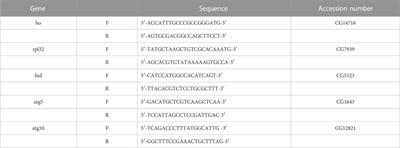 The dual role of heme oxygenase in regulating apoptosis in the nervous system of Drosophila melanogaster